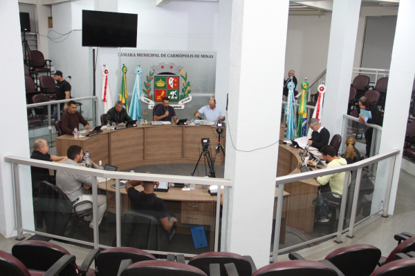 Reunião Ordinária (29/06/2026)