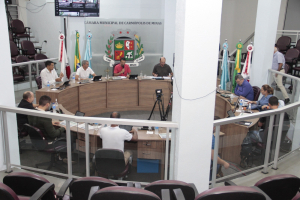 Reunião Ordinária (11/05/2026)