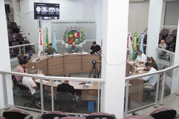 Reunião Ordinária (29/09/2025)