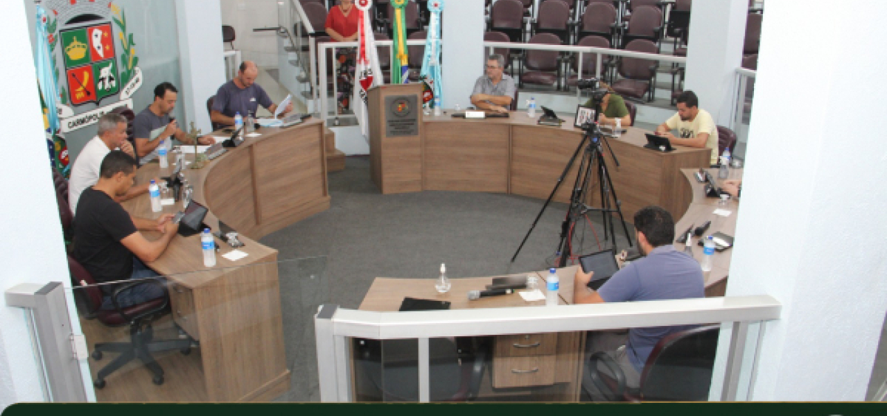 Em prazo recorde, Câmara discute e aprova a Política Municipal de Alfabetização