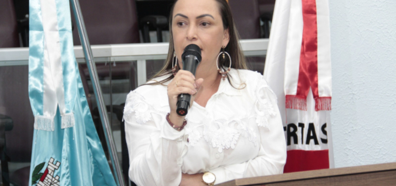 Secretaria da Saúde presta contas de quadrimestre na Câmara